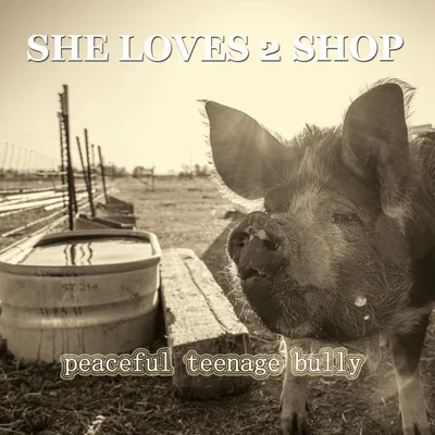 peaceful teenage bully album cover