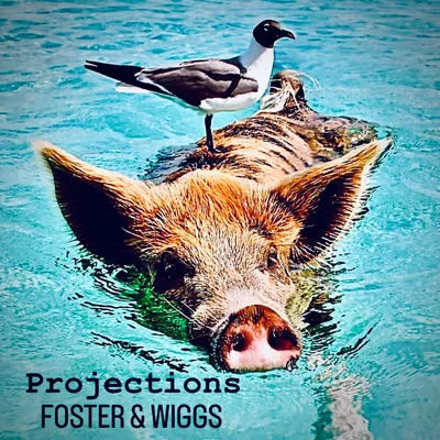 PROJECTIONS album cover